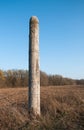 Wooden idol Slavic god Perun