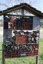 Wooden insect hotel shelter for wild insects house