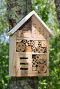 Wooden insect hotel shelter for wild insects in house garden Royalty Free Stock Photo