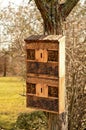 A wooden Insect house or bug hotel, hanging on a tree Royalty Free Stock Photo