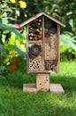 Wooden Insect House Garden Decorative Bug Hotel and Ladybird and Royalty Free Stock Photo