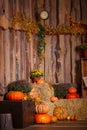 Wooden interior with pumkins, autumn leaves and flowers. Halloween and thanksgiving decoration. Royalty Free Stock Photo