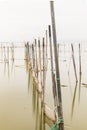 Fishing sticks nets in lake with green water and bad weather Royalty Free Stock Photo