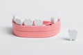 Wooden jaw model and baby losing milk tooth. Primary, deciduous teeth loss. Oral hygiene, dental care concept. Children