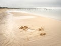 Wooden jetty and on blue lake sunset and cloudy sky Royalty Free Stock Photo