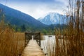 Wooden jetty with gate in the tegernsee lake, snow-covered mount Royalty Free Stock Photo