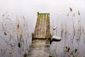 Wooden jetty in the wild lake water winter day