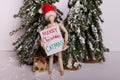 Wooden jointed mannequin doll holding sign Merry CATMAS wearing Santa Claus hat winter scene