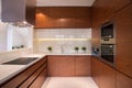 Wooden kitchen cabinet Royalty Free Stock Photo