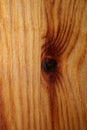 Wooden lacked brown surface macro close abstract texture plate of pine wood with a branch eye knot hole background brown yellow Royalty Free Stock Photo