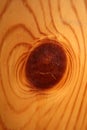 Wooden lacked brown surface macro close abstract texture plate of pine wood with a branch eye knot hole background brown yellow
