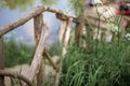 A wooden ladder fence runs down to a bridge on the river among the tall green grass. The concept of peace and tranquility.