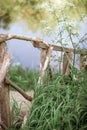 A wooden ladder fence runs down to a bridge on the river among the tall green grass. The concept of peace and tranquility.