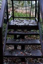 Wooden ladder with iron chain Royalty Free Stock Photo