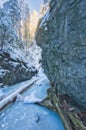 Frozen creek in Sucha Bela gorge in Slovak Paradise during winter