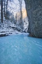 Frozen creek in Sucha Bela gorge in Slovak Paradise during winter