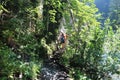 Wooden ladder with trekkers in Canyon Prielom Hornadu in SlovenskÃÂ½ raj Slovak Paradise National Park