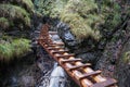 Wooden ladders above gorges in Slovak Paradise tourist destination Royalty Free Stock Photo