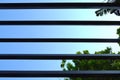 Wooden lath against blue sky and tree Royalty Free Stock Photo
