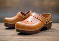 Wooden leather brown clogs isolated on rustic wood floor - ladies shoes