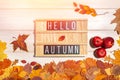Wooden letter board with the text phrase Hello Autumn, three red ripe apples and dry fallen leaves on a white background Royalty Free Stock Photo