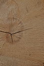 Wooden light brown vertical design background with a crack in the center