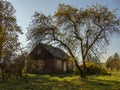 Country house autumn landscape. Royalty Free Stock Photo