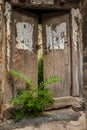 Wooden locked gate and sapling