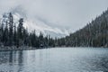 Wooden lodge in pine forest with heavy snow and mountain on Lake O'hara at Yoho national park Royalty Free Stock Photo