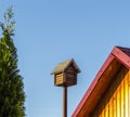 Birdhouse on a stick