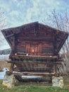 Wooden log cabin