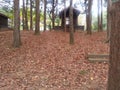 Wooden log cabin in between green trees in park Royalty Free Stock Photo