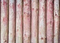 Wooden log cabin wall background. Royalty Free Stock Photo