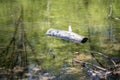 Wooden log floating on water surface