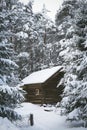 Wooden log house in a pine forest trees covered with snow in winter in Karelia, Russia. Royalty Free Stock Photo