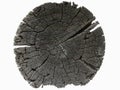 A wooden log in the section. The old, dried-up tree turned black. Isolated image