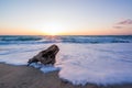 Wooden log at Sunset at Agios Ioannis beach in Lefkada