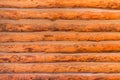 Wooden log wall texture. Royalty Free Stock Photo