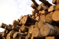 Wooden logs Royalty Free Stock Photo