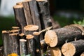 Wooden logs Royalty Free Stock Photo