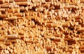 Wooden logs Royalty Free Stock Photo