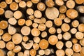 Wooden logs Royalty Free Stock Photo