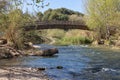 Wooden logs bridge over the river in the forest Royalty Free Stock Photo