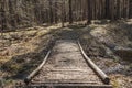 Wooden logs bridge with yellow leaves over the creek in spring in pines and birches forest Royalty Free Stock Photo