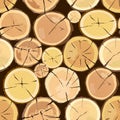 Wooden logs. Brown bark of felled dry wood. Royalty Free Stock Photo
