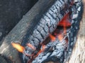 The wooden logs burn in the bonfire before cooking a food on a p