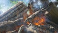 Wooden logs burning at fire with smoke. Closeup view of campfire at daylight