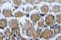 Wooden logs covered with snow as winter background