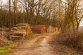 Wooden logs