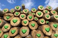 Wooden Logs with Green Hearts